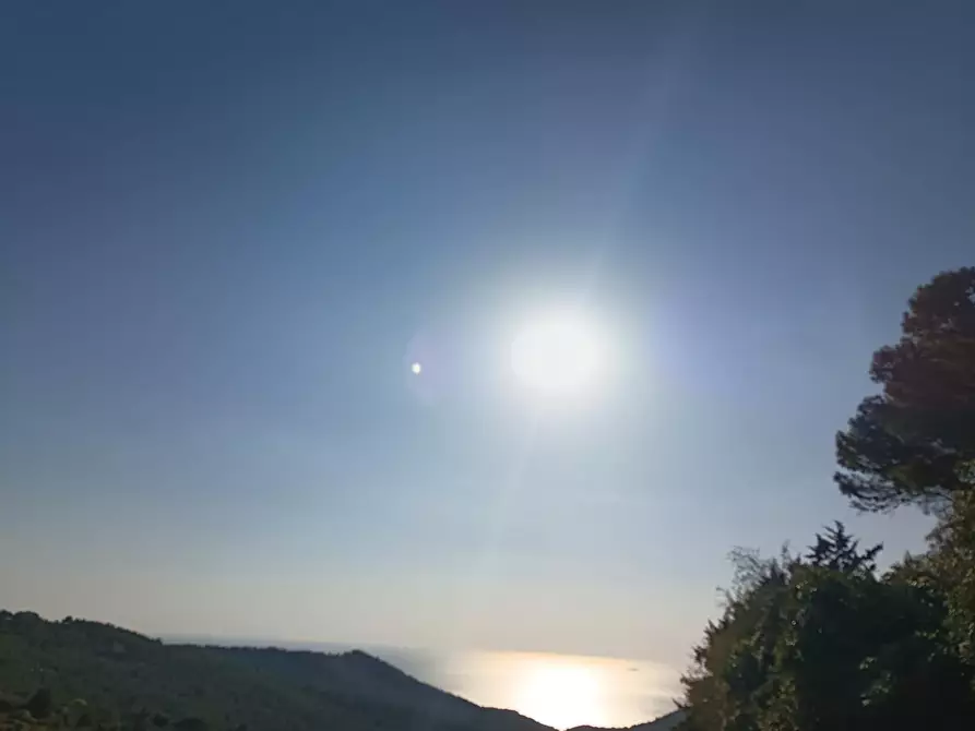 Immagine 1 di Villa in vendita  a Livorno