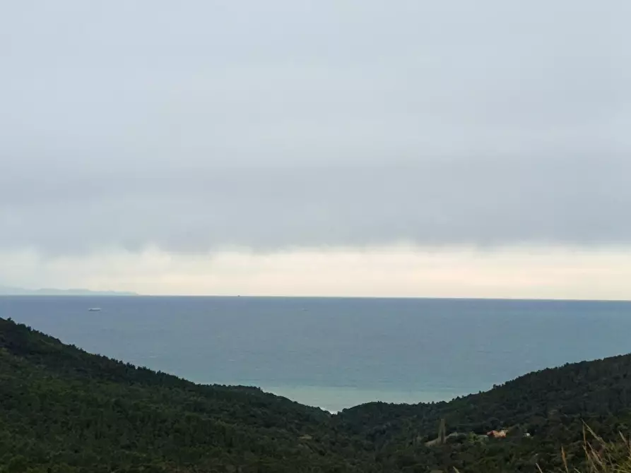 Immagine 3 di Villa in vendita  a Livorno