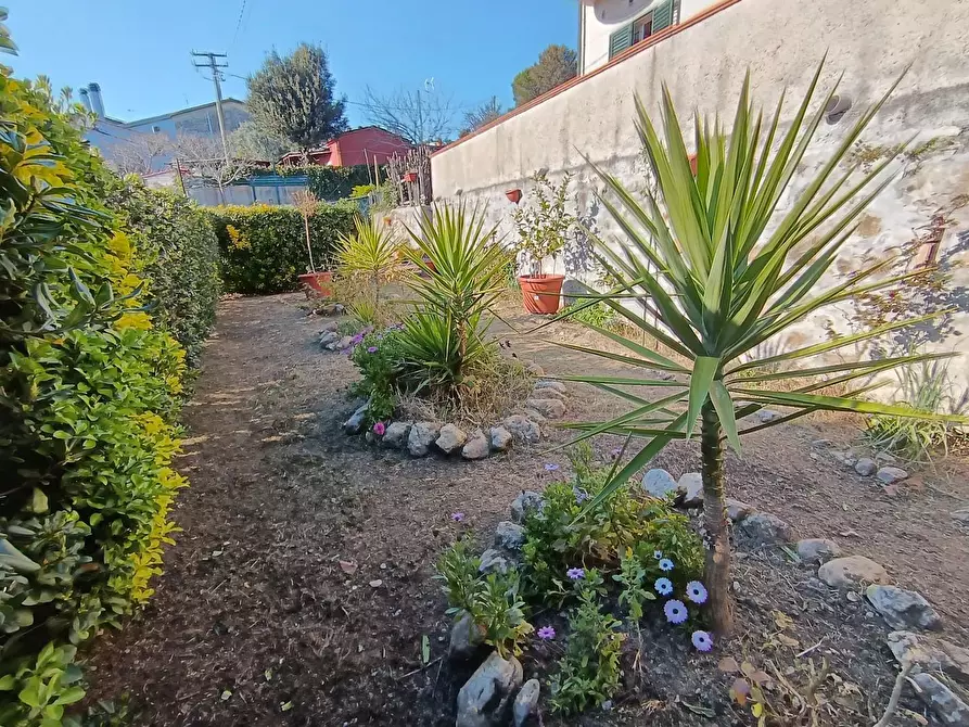 Immagine 6 di Villa in vendita  a Livorno