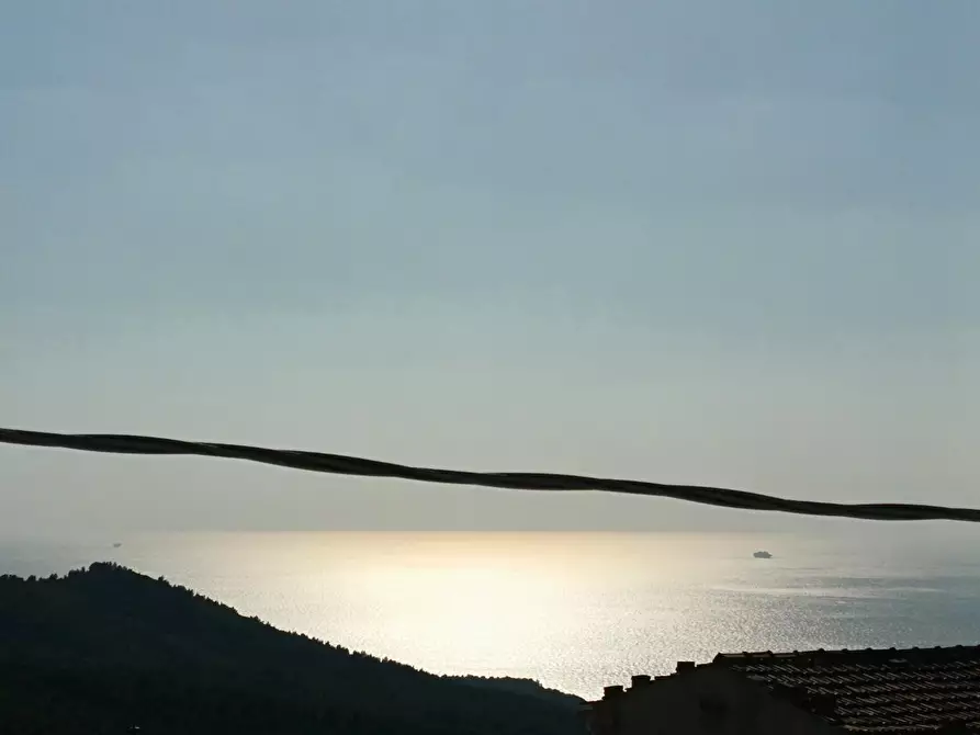 Immagine 2 di Villa in vendita  a Livorno