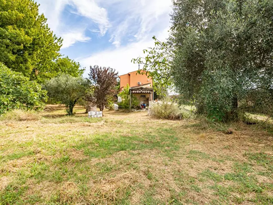 Immagine 43 di Casa indipendente in vendita  a San Giuliano Terme