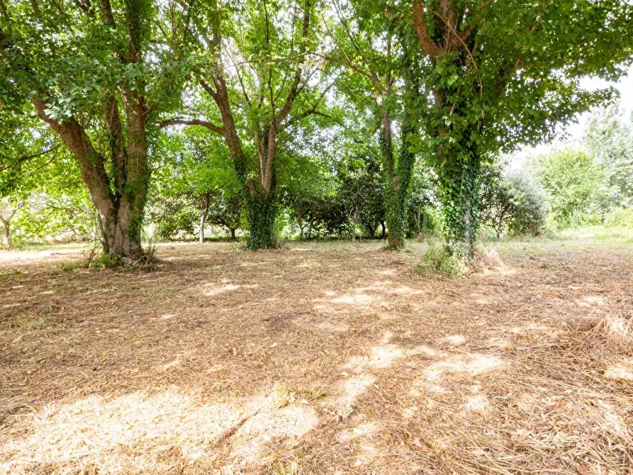 Immagine 41 di Casa indipendente in vendita  a San Giuliano Terme