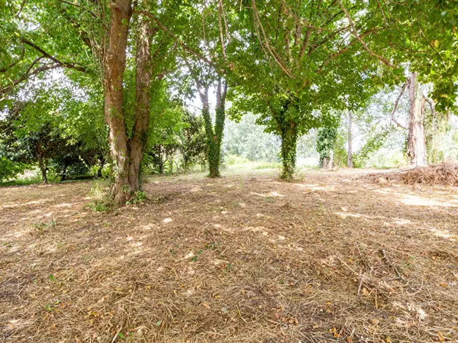 Immagine 42 di Casa indipendente in vendita  a San Giuliano Terme