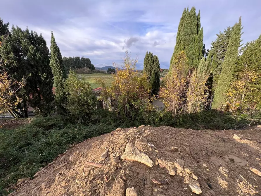Immagine 2 di Terreno residenziale in vendita  a Collesalvetti