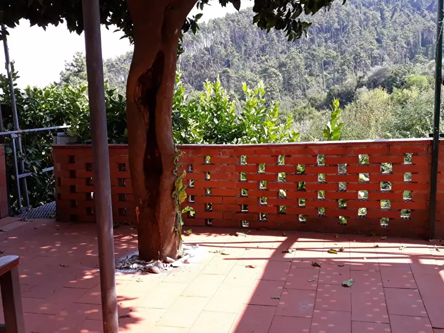 Immagine 2 di Terratetto in vendita  a Ameglia