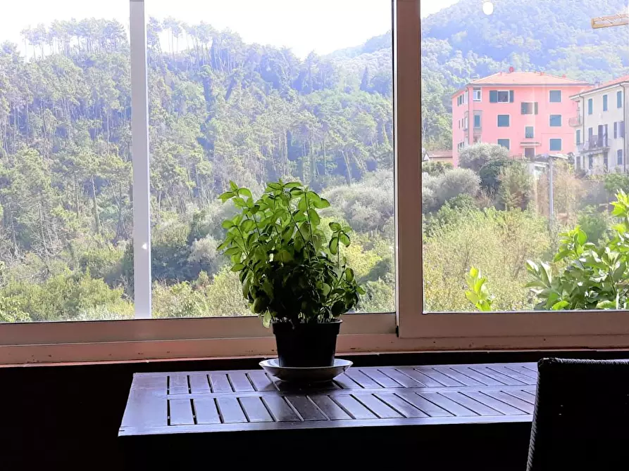 Immagine 5 di Terratetto in vendita  a Ameglia