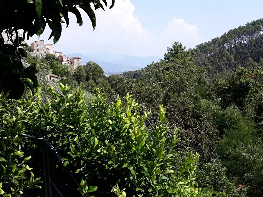 Immagine 3 di Terratetto in vendita  a Ameglia