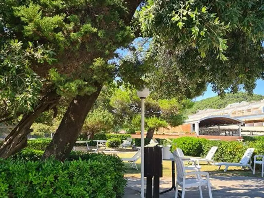 Immagine 18 di Appartamento in vendita  a Livorno