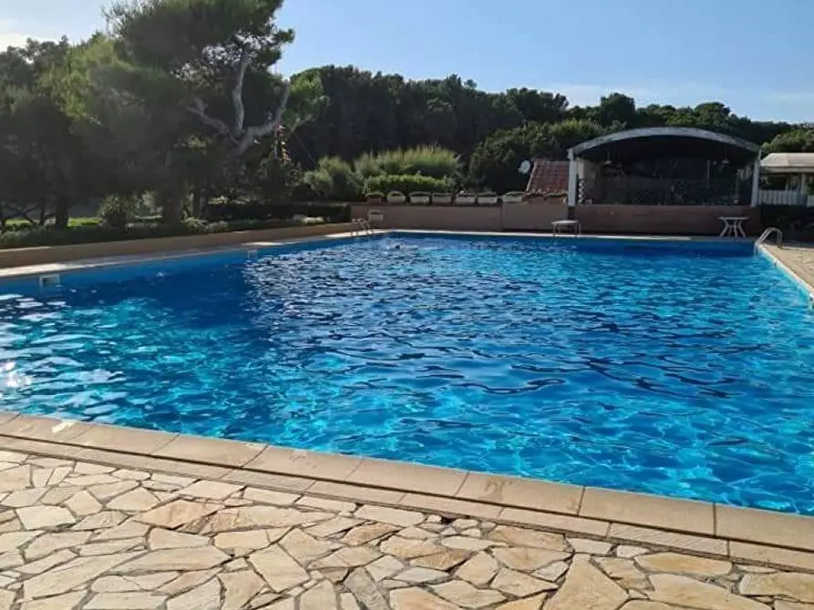 Immagine 17 di Appartamento in vendita  a Livorno