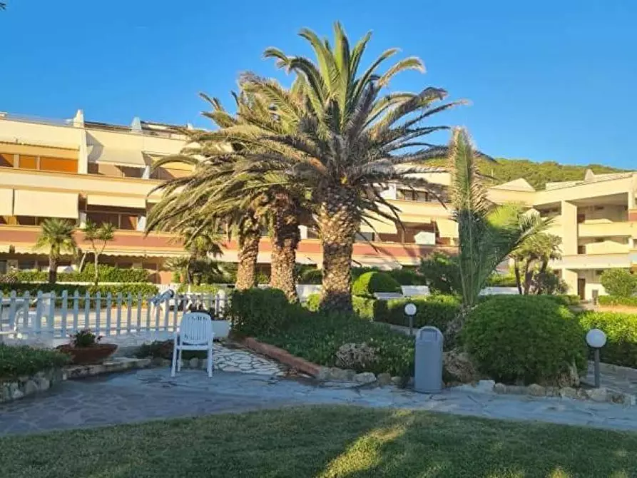 Immagine 16 di Appartamento in vendita  a Livorno