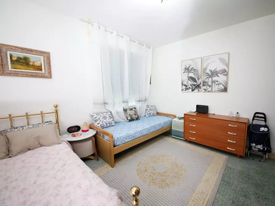 Immagine 22 di Appartamento in vendita  a Fauglia