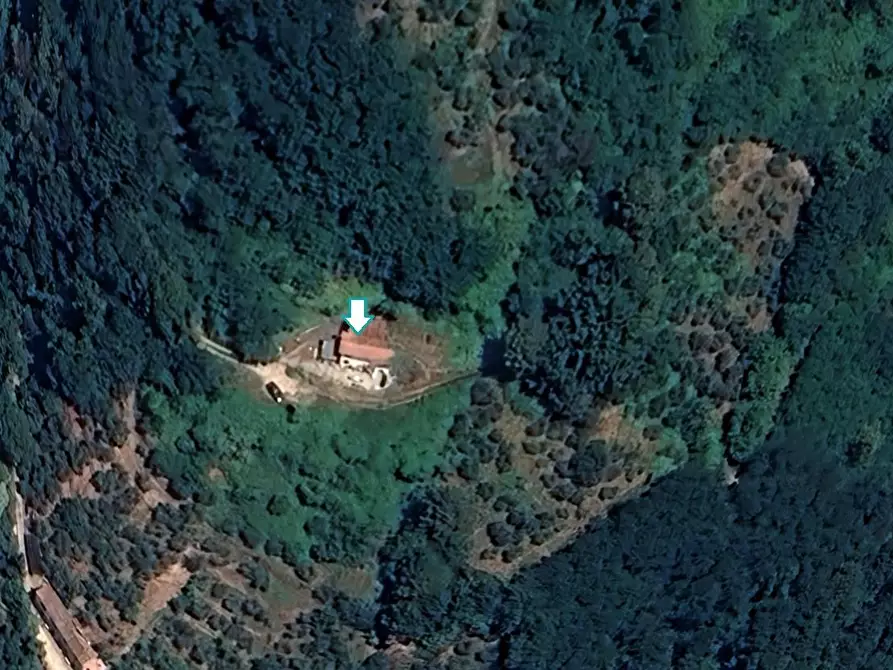 Immagine 1 di Terratetto in vendita  a Montecatini Terme