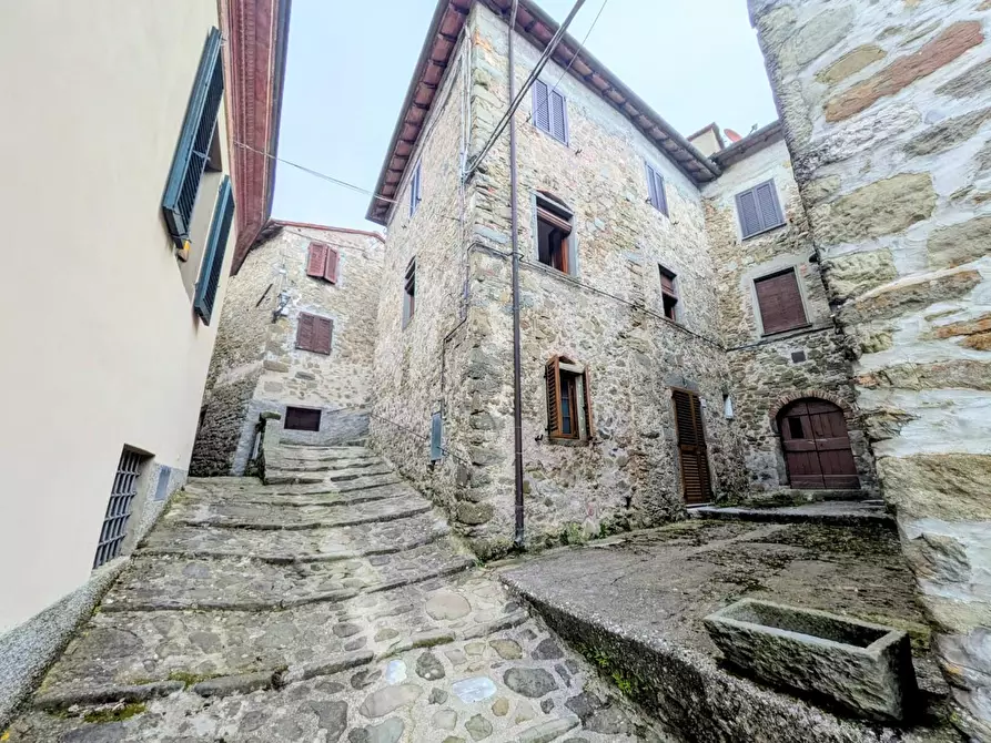 Immagine 30 di Terratetto in vendita  a Coreglia Antelminelli