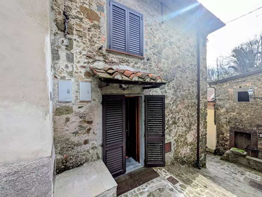 Immagine 27 di Terratetto in vendita  a Coreglia Antelminelli