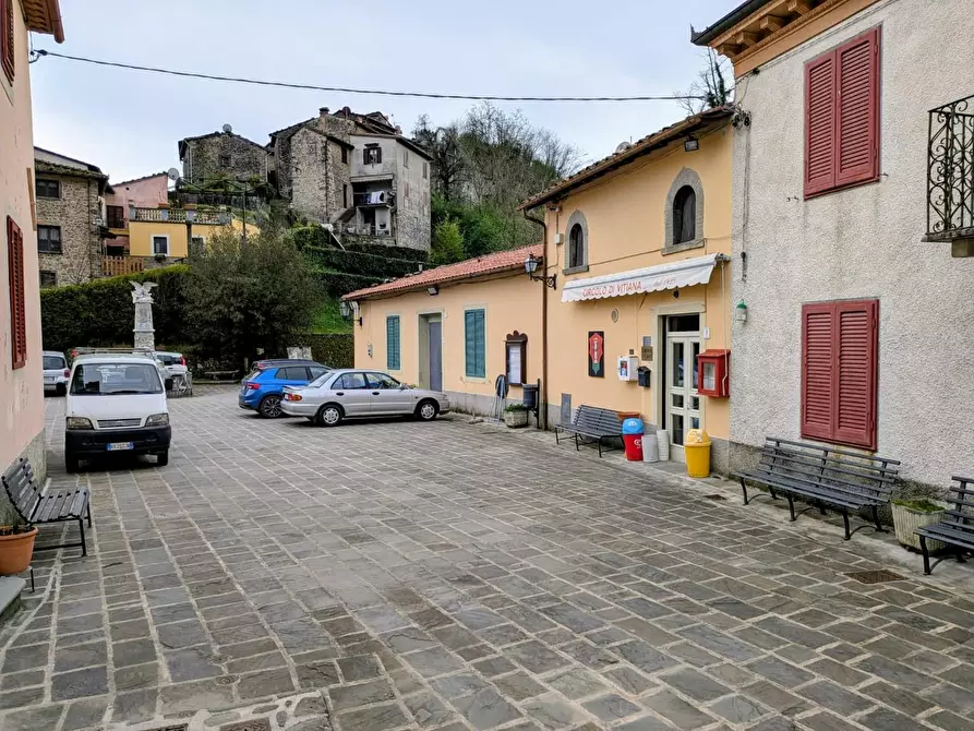 Immagine 31 di Terratetto in vendita  a Coreglia Antelminelli