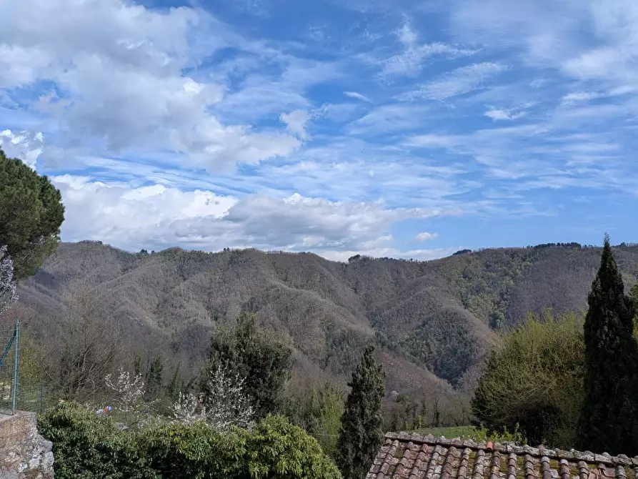 Immagine 26 di Terratetto in vendita  a Coreglia Antelminelli