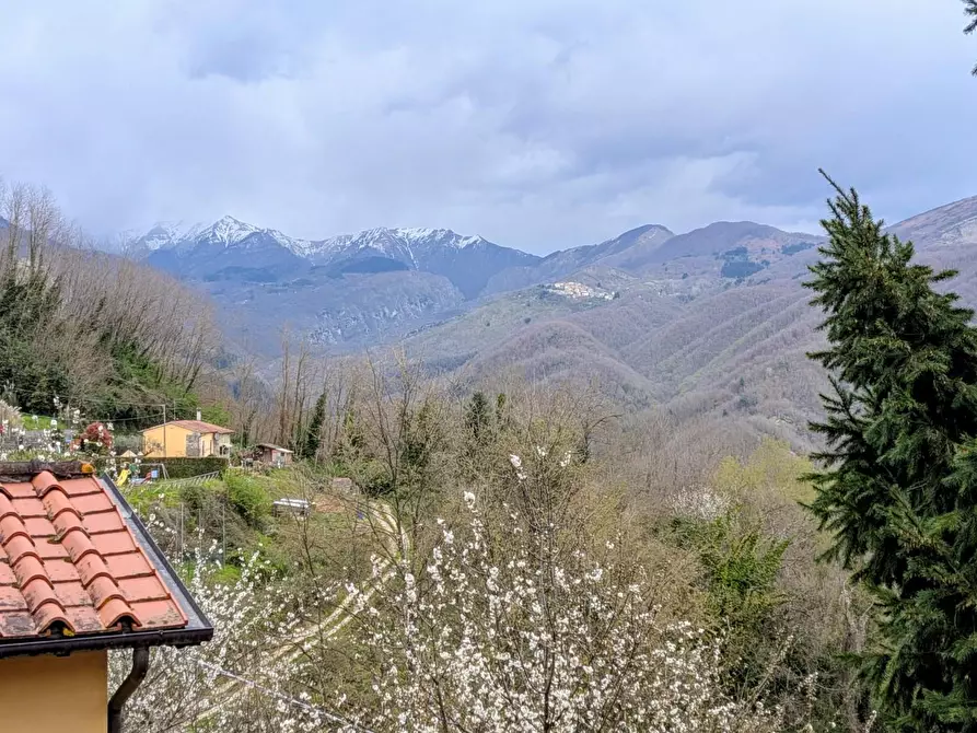 Immagine 29 di Terratetto in vendita  a Coreglia Antelminelli