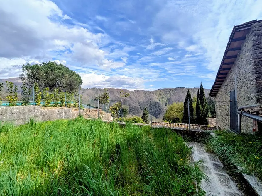 Immagine 25 di Terratetto in vendita  a Coreglia Antelminelli