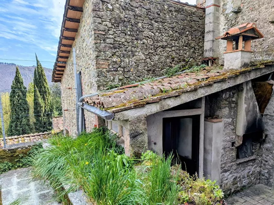 Immagine 23 di Terratetto in vendita  a Coreglia Antelminelli