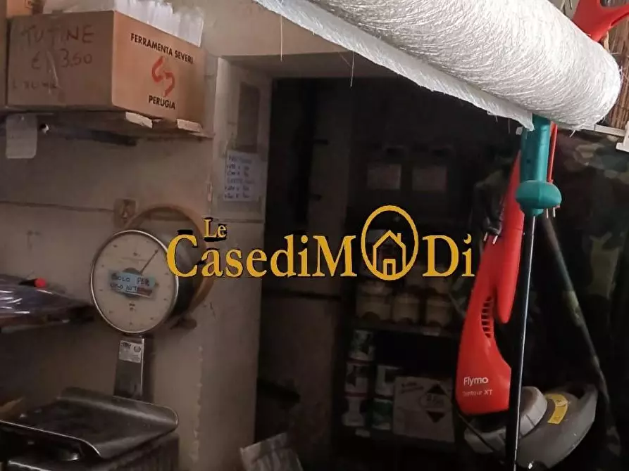 Immagine 8 di Locale commerciale in vendita  a Pisa