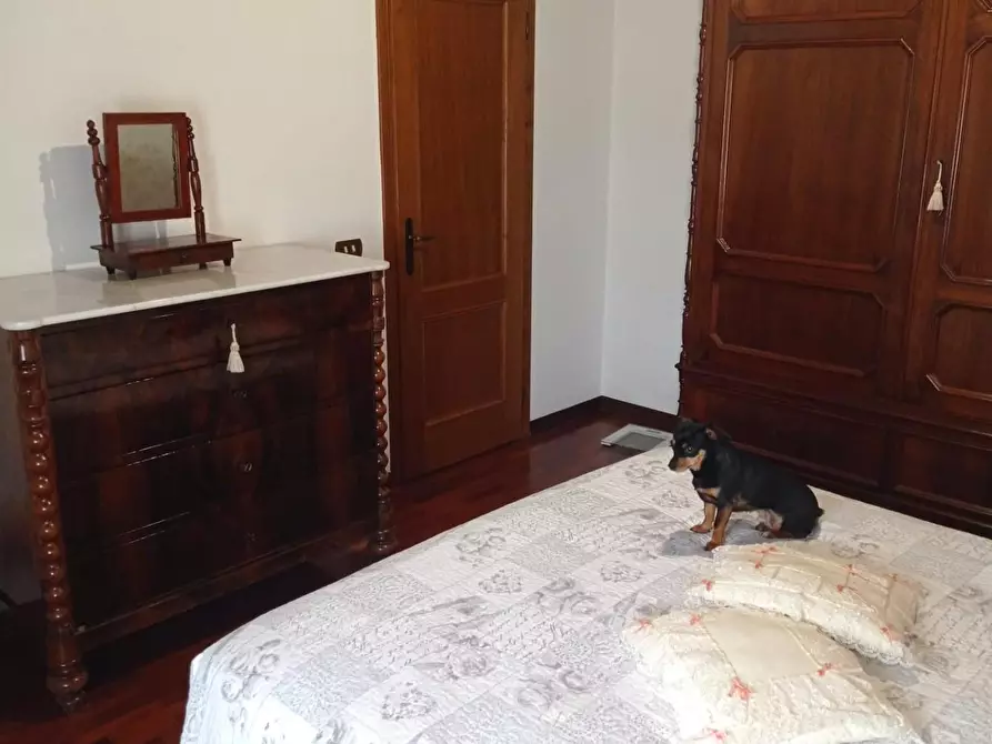 Immagine 15 di Terratetto in vendita  a Lucca