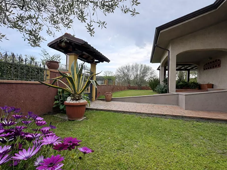 Immagine 17 di Villa in vendita  a Camaiore