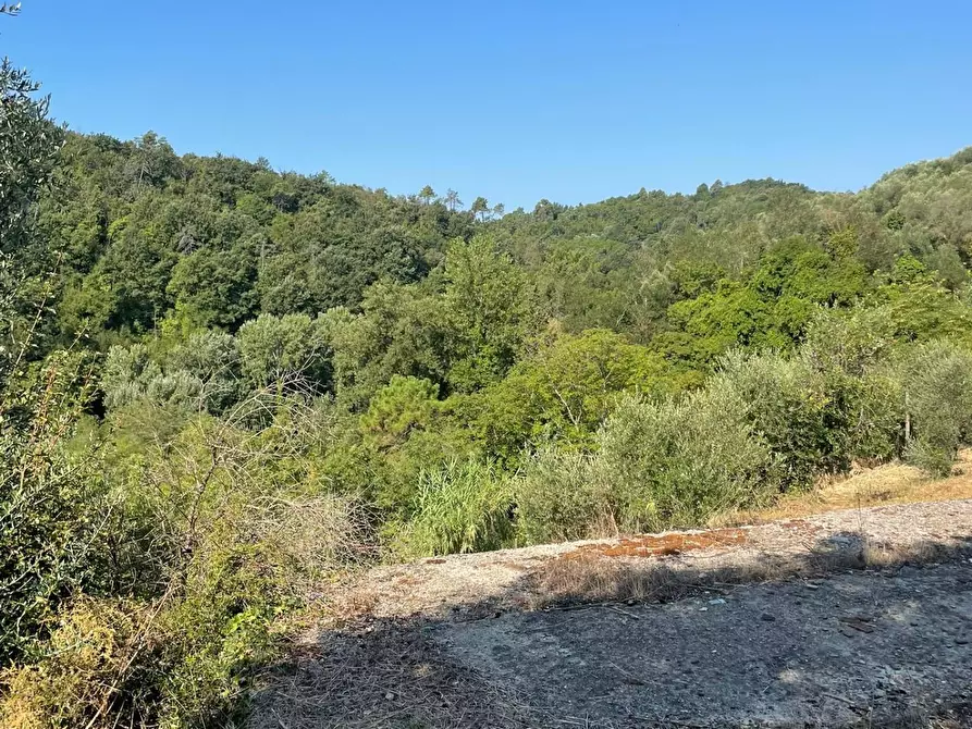 Immagine 8 di Terreno residenziale in vendita  a San Miniato