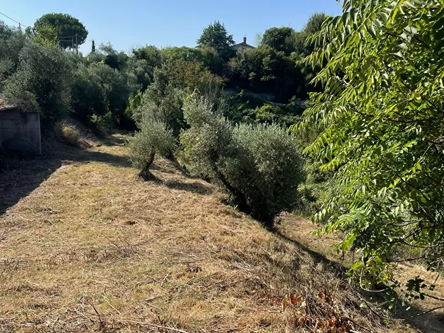 Immagine 1 di Terreno residenziale in vendita  a San Miniato