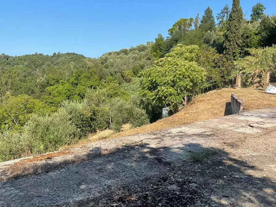 Immagine 7 di Terreno residenziale in vendita  a San Miniato