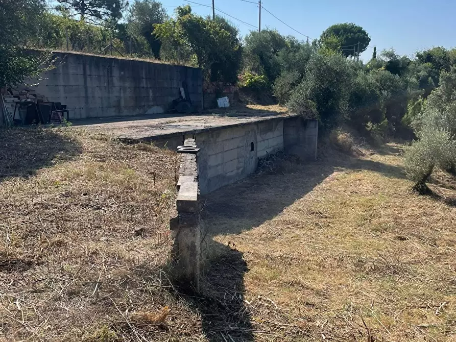 Immagine 3 di Terreno residenziale in vendita  a San Miniato