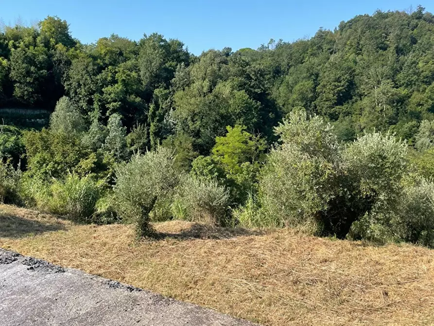 Immagine 9 di Terreno residenziale in vendita  a San Miniato