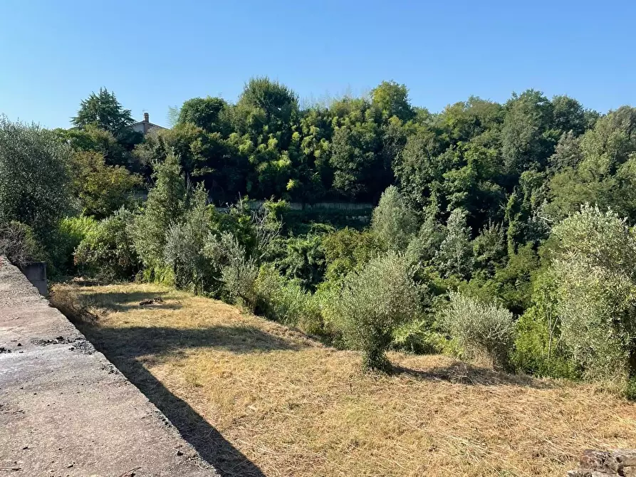 Immagine 4 di Terreno residenziale in vendita  a San Miniato