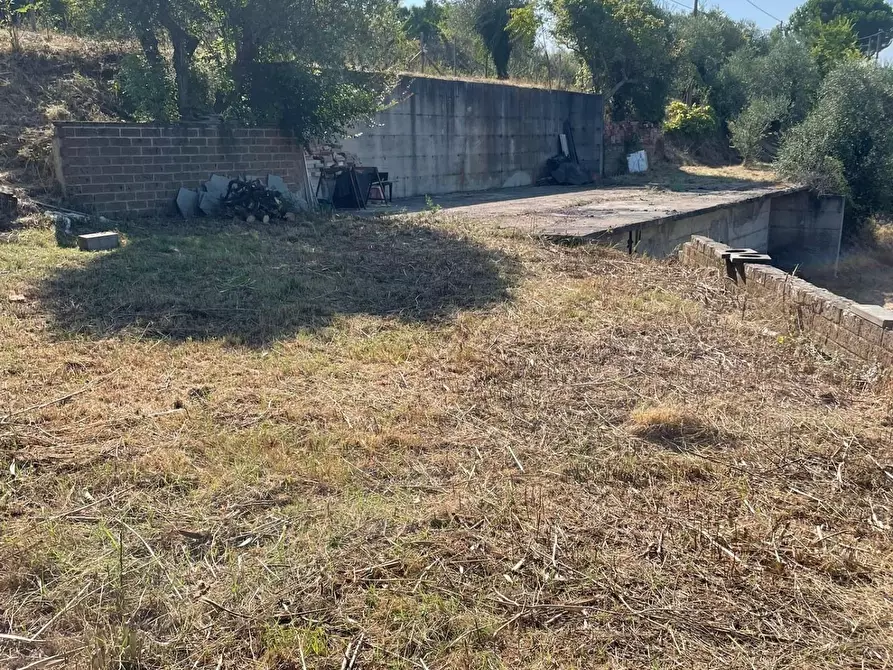 Immagine 5 di Terreno residenziale in vendita  a San Miniato