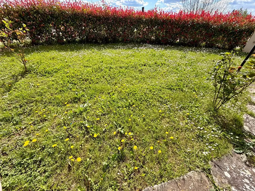 Immagine 1 di Terratetto in vendita  a Empoli