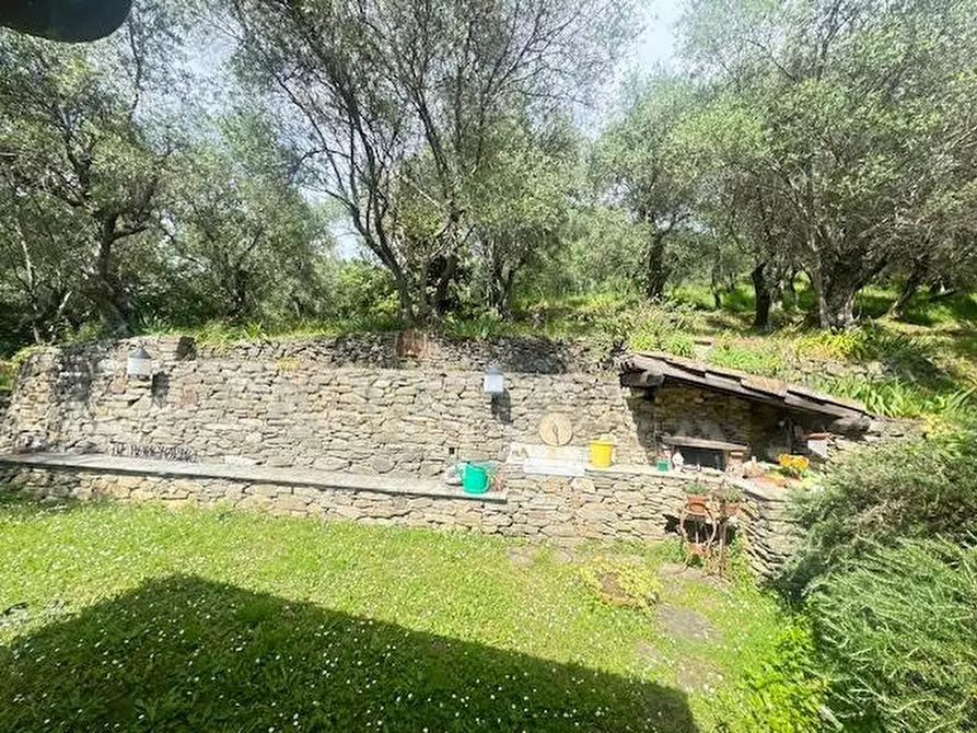 Immagine 21 di Villa in vendita  a Pietrasanta