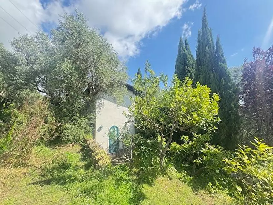 Immagine 17 di Villa in vendita  a Pietrasanta