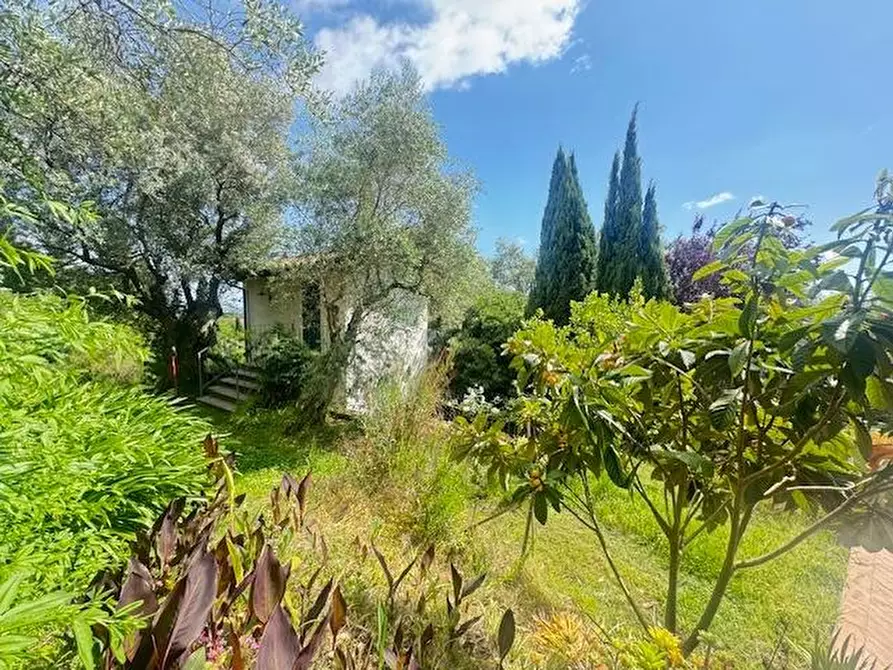 Immagine 19 di Villa in vendita  a Pietrasanta