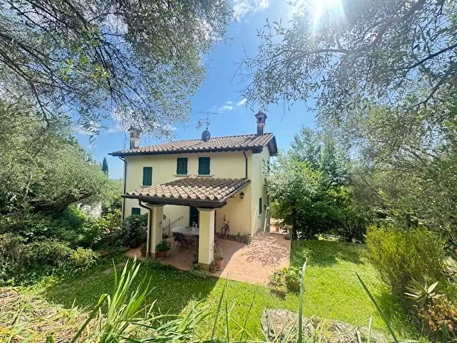 Immagine 7 di Villa in vendita  a Pietrasanta