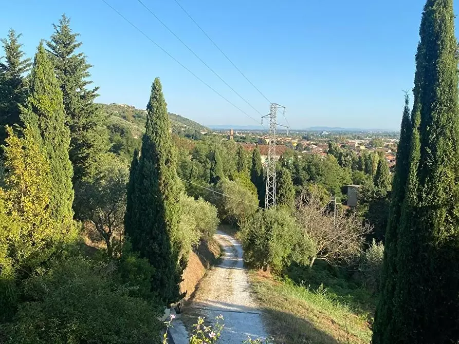 Immagine 28 di Villa in vendita  a Pietrasanta