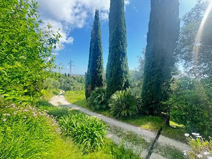Immagine 60 di Villa in vendita  a Pietrasanta