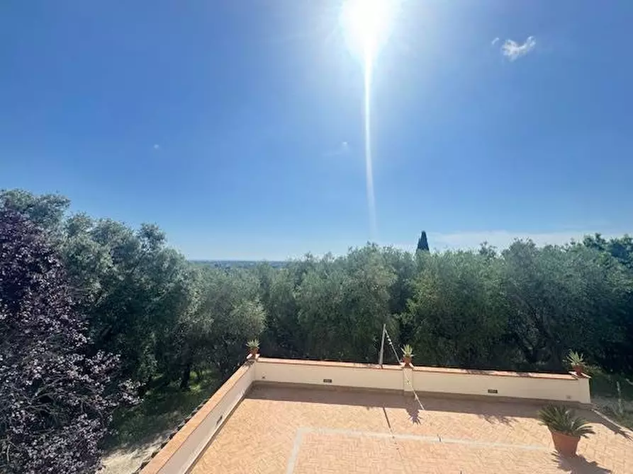 Immagine 12 di Villa in vendita  a Pietrasanta