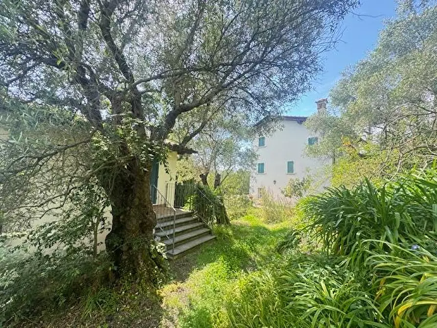 Immagine 5 di Villa in vendita  a Pietrasanta