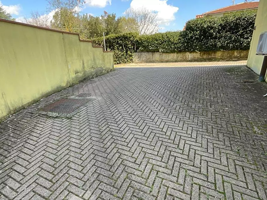 Immagine 50 di Appartamento in vendita  a Collesalvetti