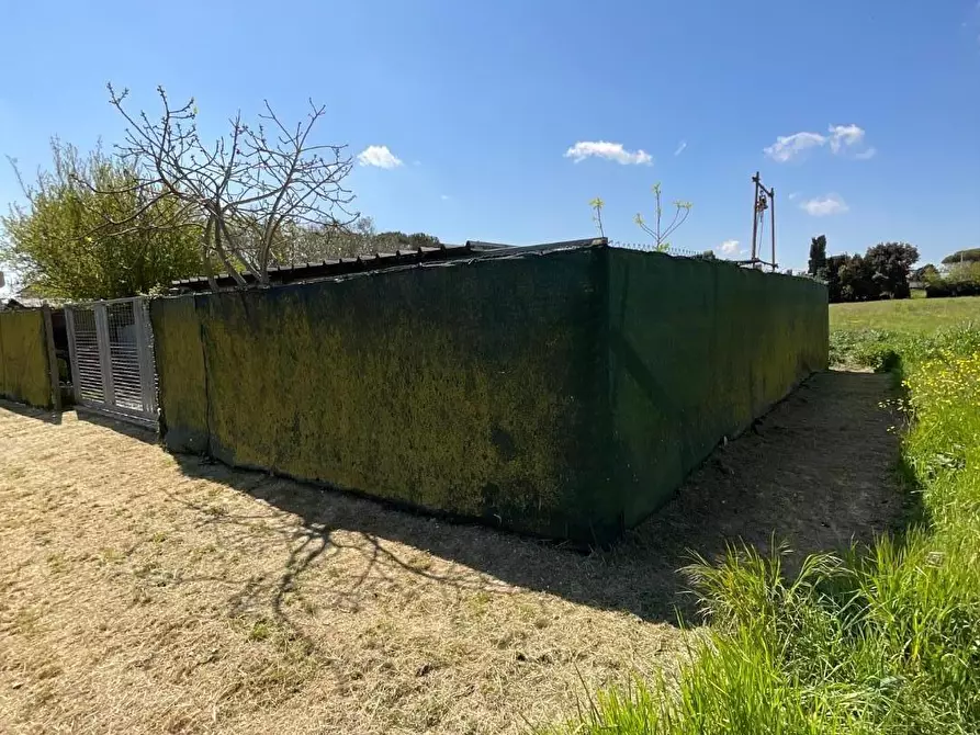 Immagine 41 di Appartamento in vendita  a Collesalvetti