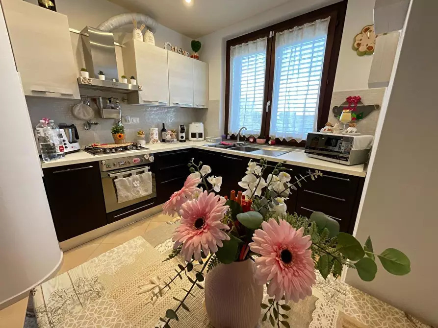 Immagine 9 di Appartamento in vendita  a Collesalvetti