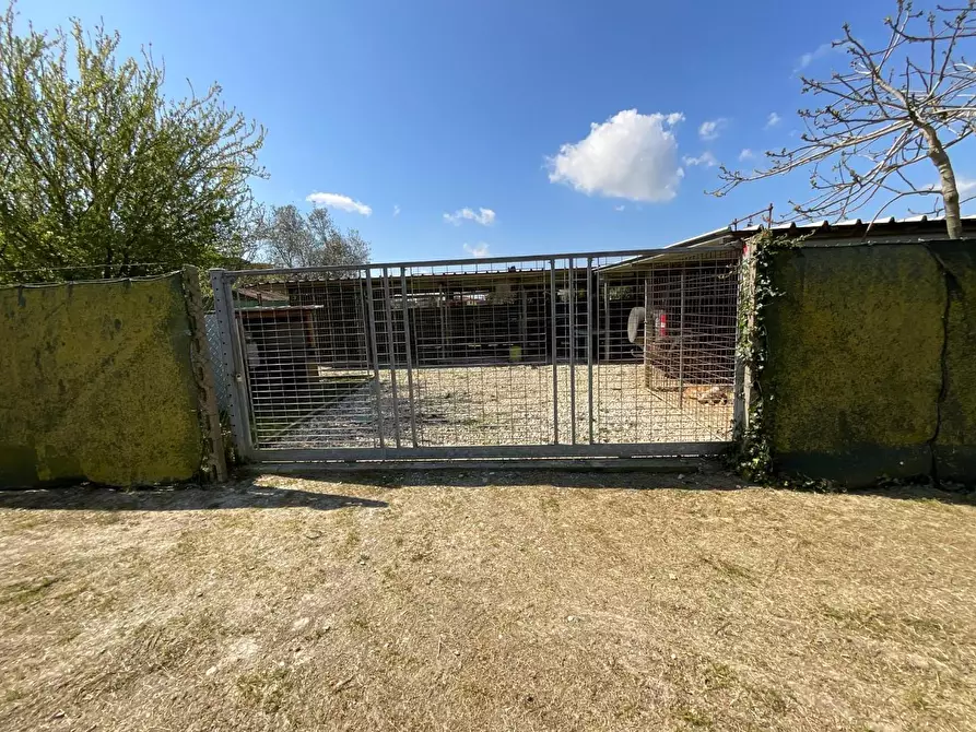 Immagine 42 di Appartamento in vendita  a Collesalvetti