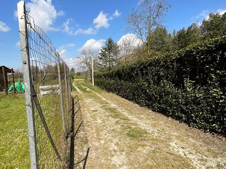 Immagine 39 di Appartamento in vendita  a Collesalvetti