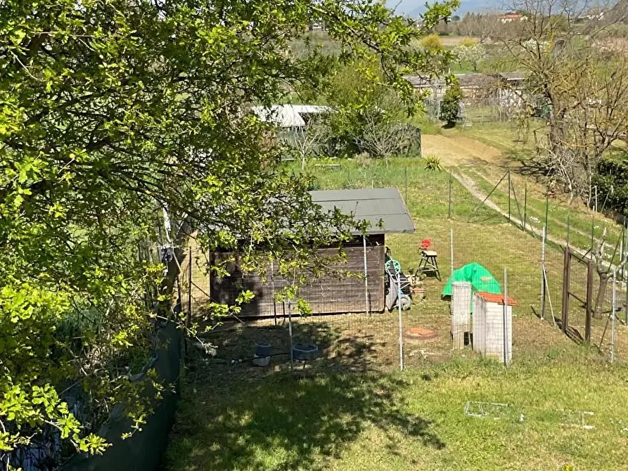 Immagine 19 di Appartamento in vendita  a Collesalvetti