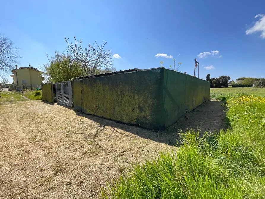 Immagine 40 di Appartamento in vendita  a Collesalvetti