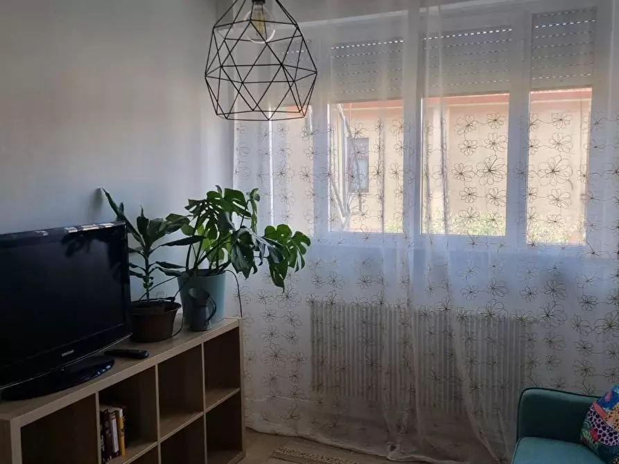 Immagine 6 di Appartamento in vendita  a Massa